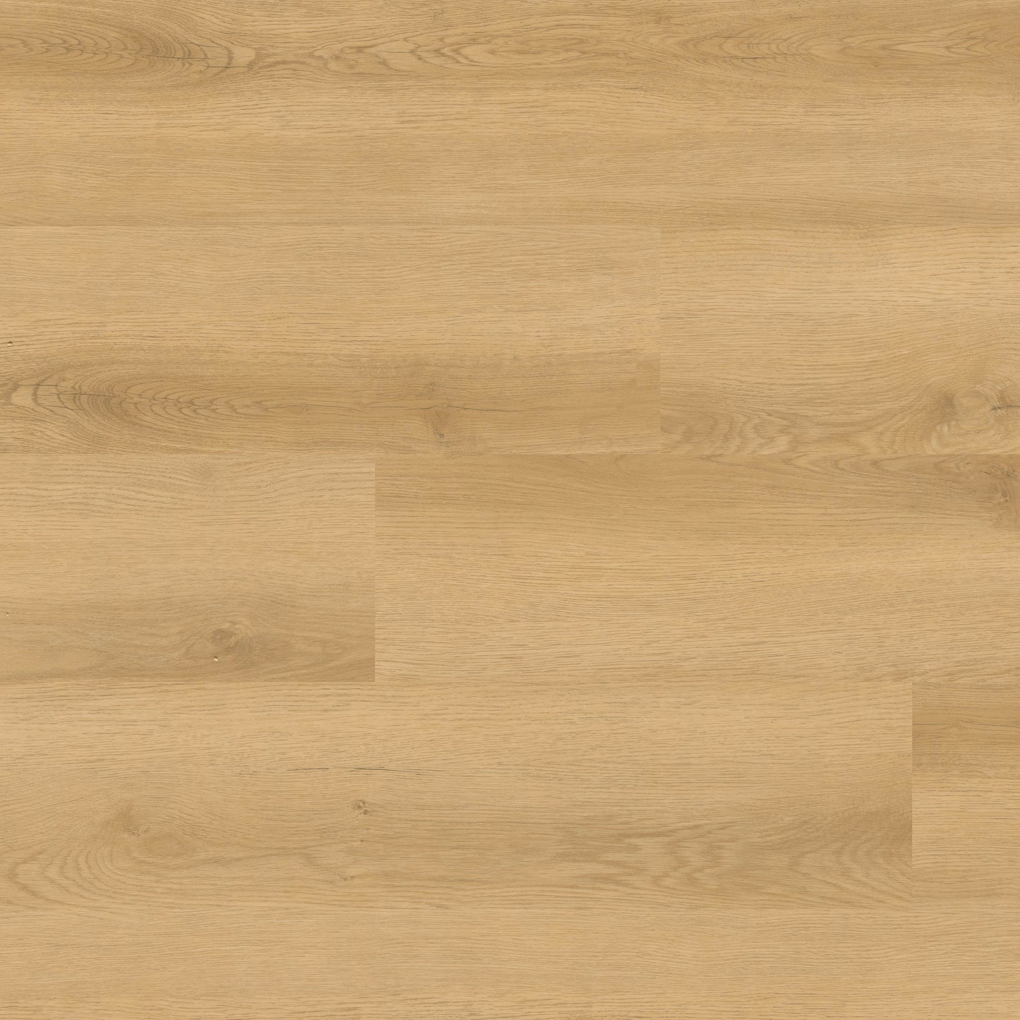 MSI NOVE PLUS HYDE HAVEN Luxury Vinyl Planks