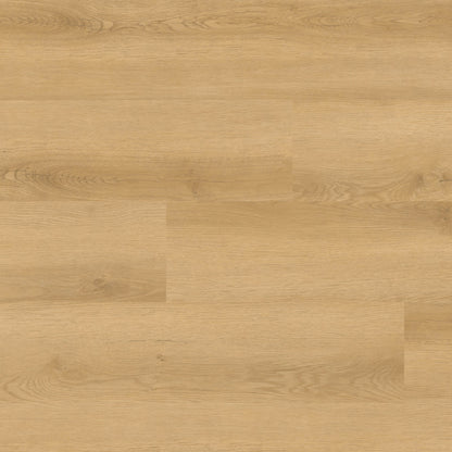 MSI NOVE PLUS HYDE HAVEN Luxury Vinyl Planks