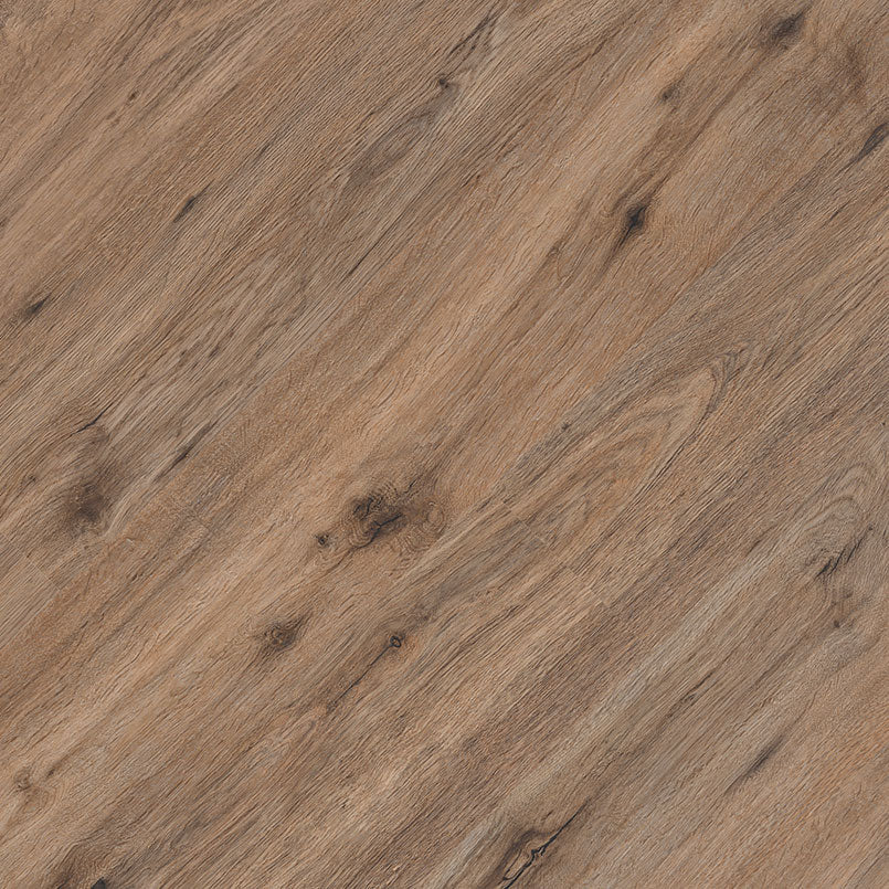 MSI Kallum Fauna®Luxury Vinyl Planks