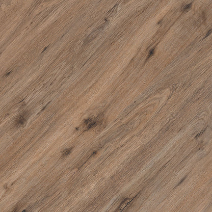 MSI Kallum Fauna®Luxury Vinyl Planks