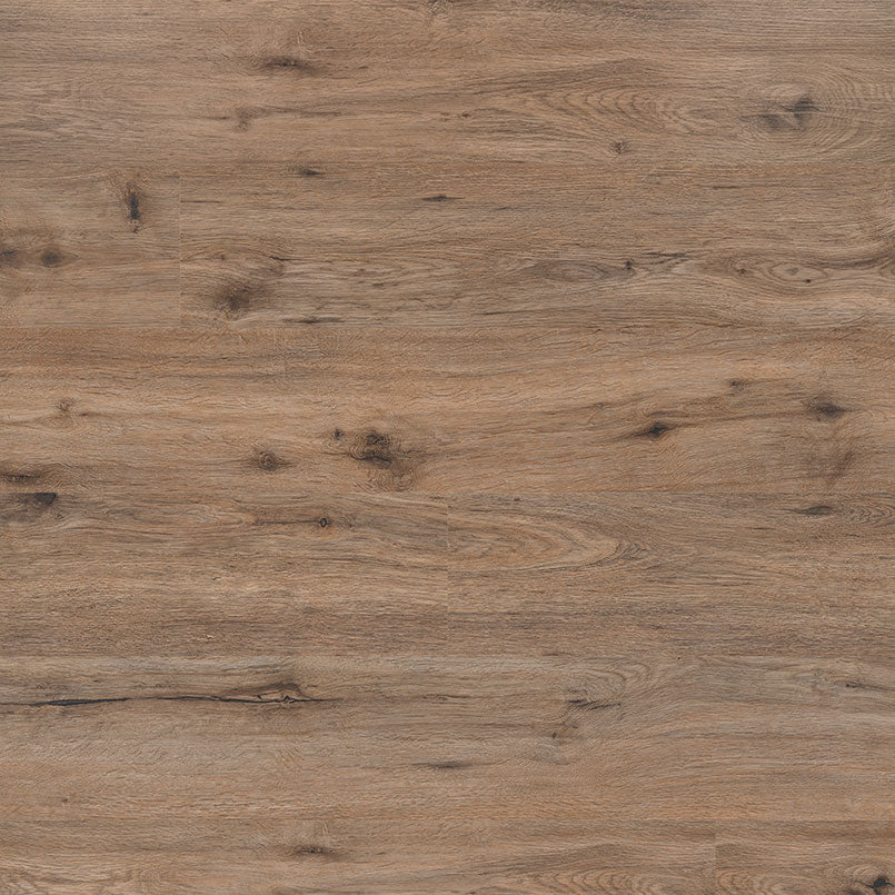 MSI Kallum Fauna®Luxury Vinyl Planks