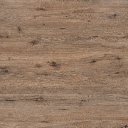 MSI Kallum Fauna®Luxury Vinyl Planks