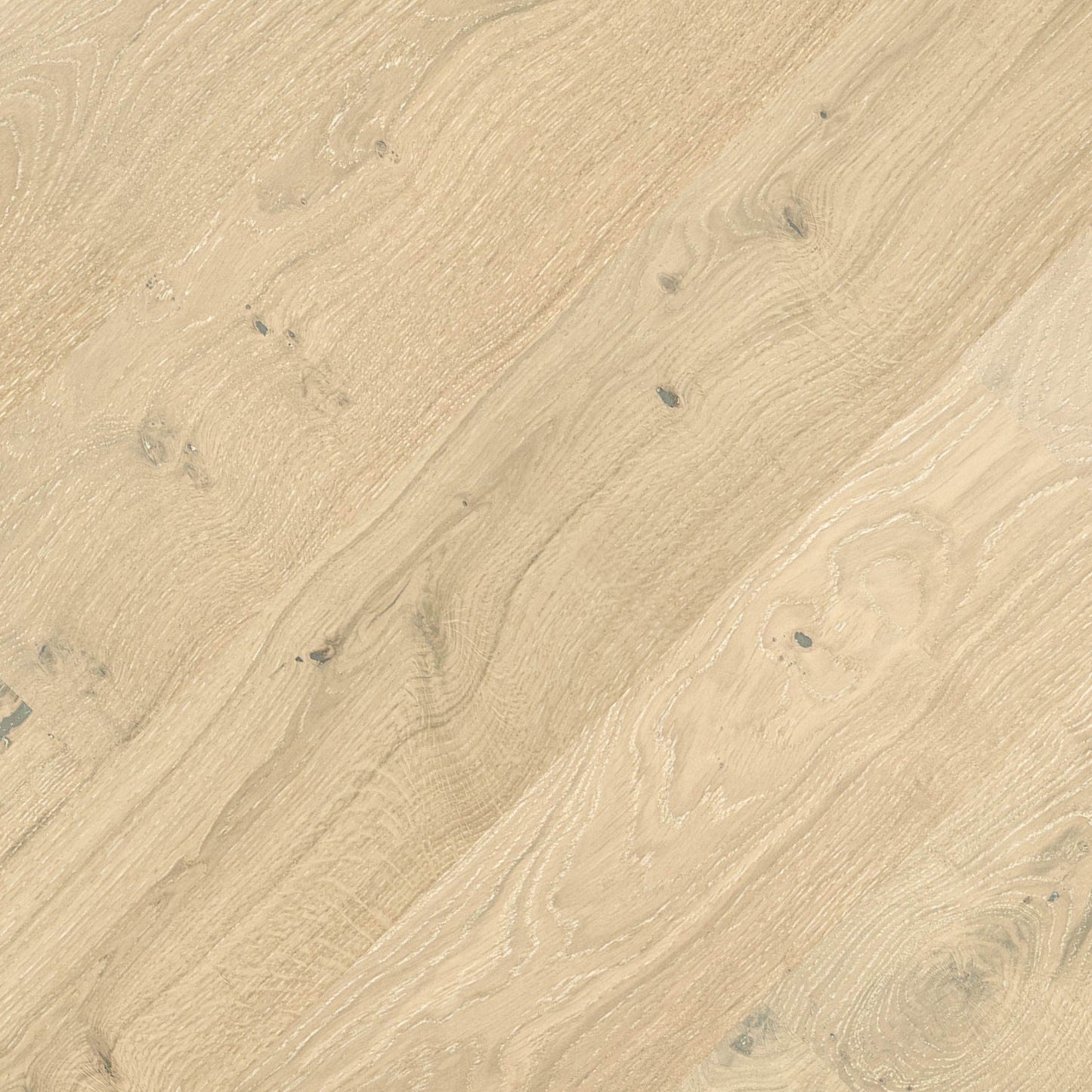 MSI Kelmore™Sandora Engineered Hardwood Flooring