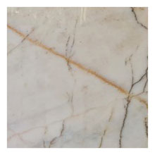 Lupato Gold Marble Polished Floor and Wall Tile