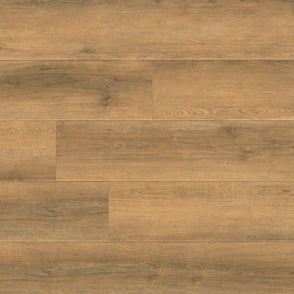 MSI Wayne Parc™Macland™Luxury Vinyl Planks