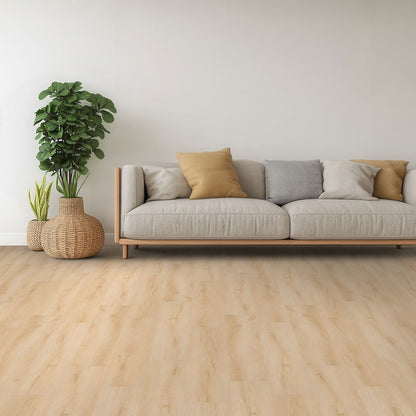 MSI NOVE PLUS FALLONTON Luxury Vinyl Planks