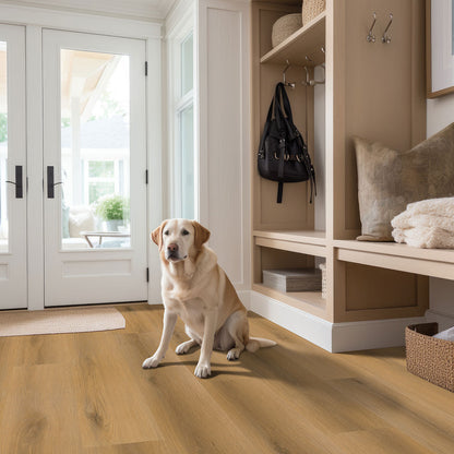 MSI NOVE PLUS SCANDI Luxury Vinyl Planks