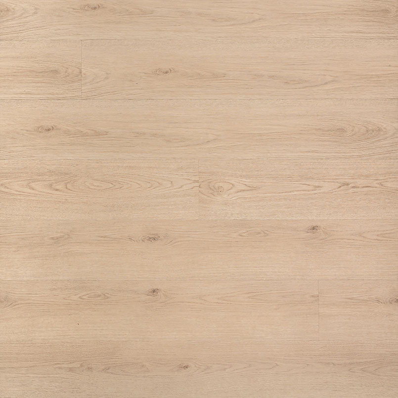 MSI Cyrus®Chester Hills Luxury Vinyl Planks