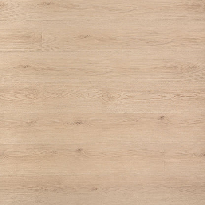 MSI Prescott®Chester Hills Luxury Vinyl Planks