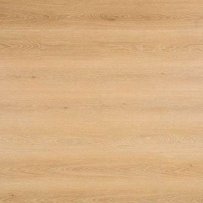 MSI Cyrus®2.0 Valleyview Grove Luxury Vinyl Planks