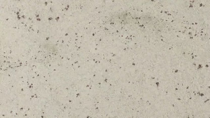 MSI Colonial White Granite Prefabricated Countertop - Island