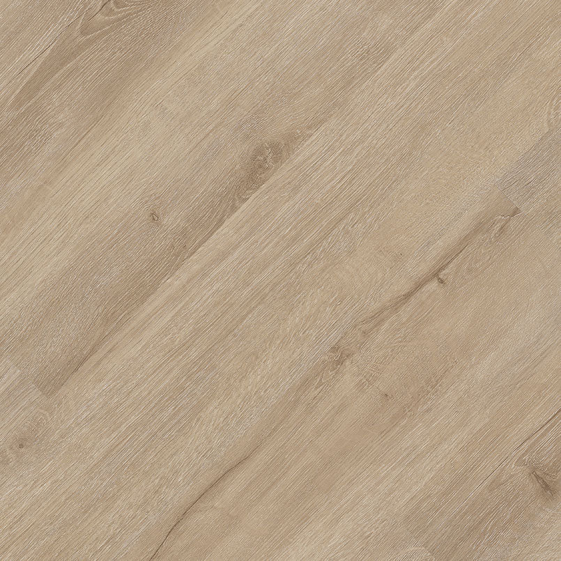 MSI Sandino Luxury Vinyl Plank