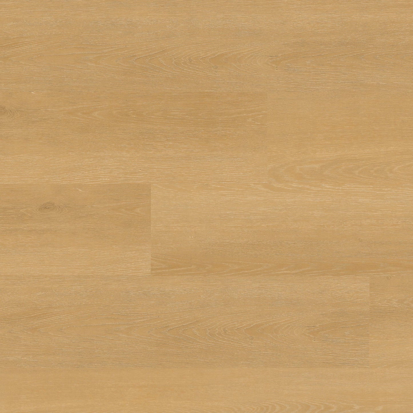 MSI NOVE PLUS SELBOURNE Luxury Vinyl Planks