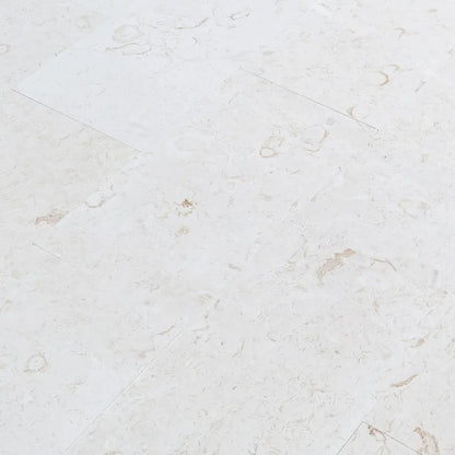 Shell Stone White Limestone Tiles Floor and Wall Tile