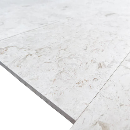 Shell Stone White Limestone Tiles Floor and Wall Tile