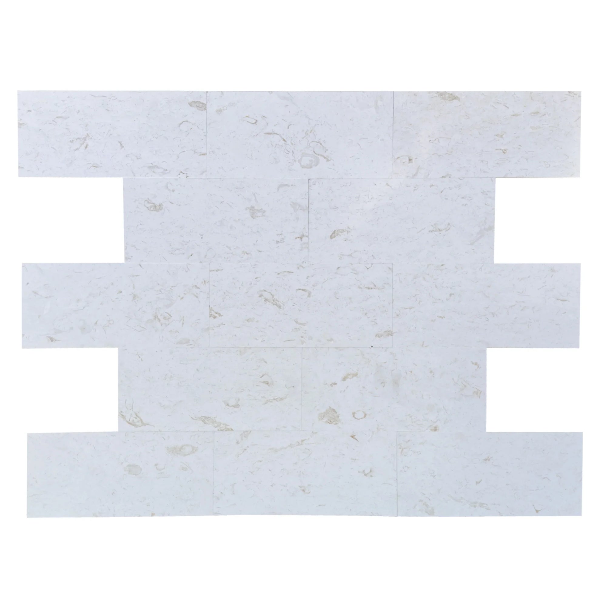 Shell Stone White Limestone Tiles Floor and Wall Tile – mayausatile