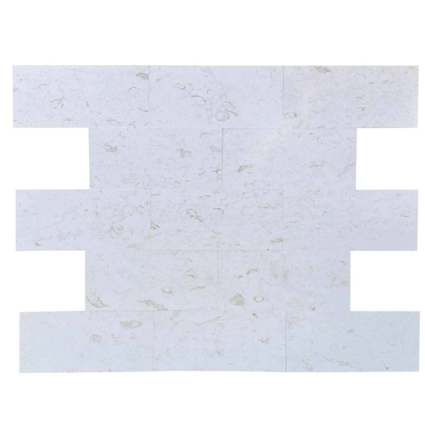 Shell Stone White Limestone Tiles Floor and Wall Tile