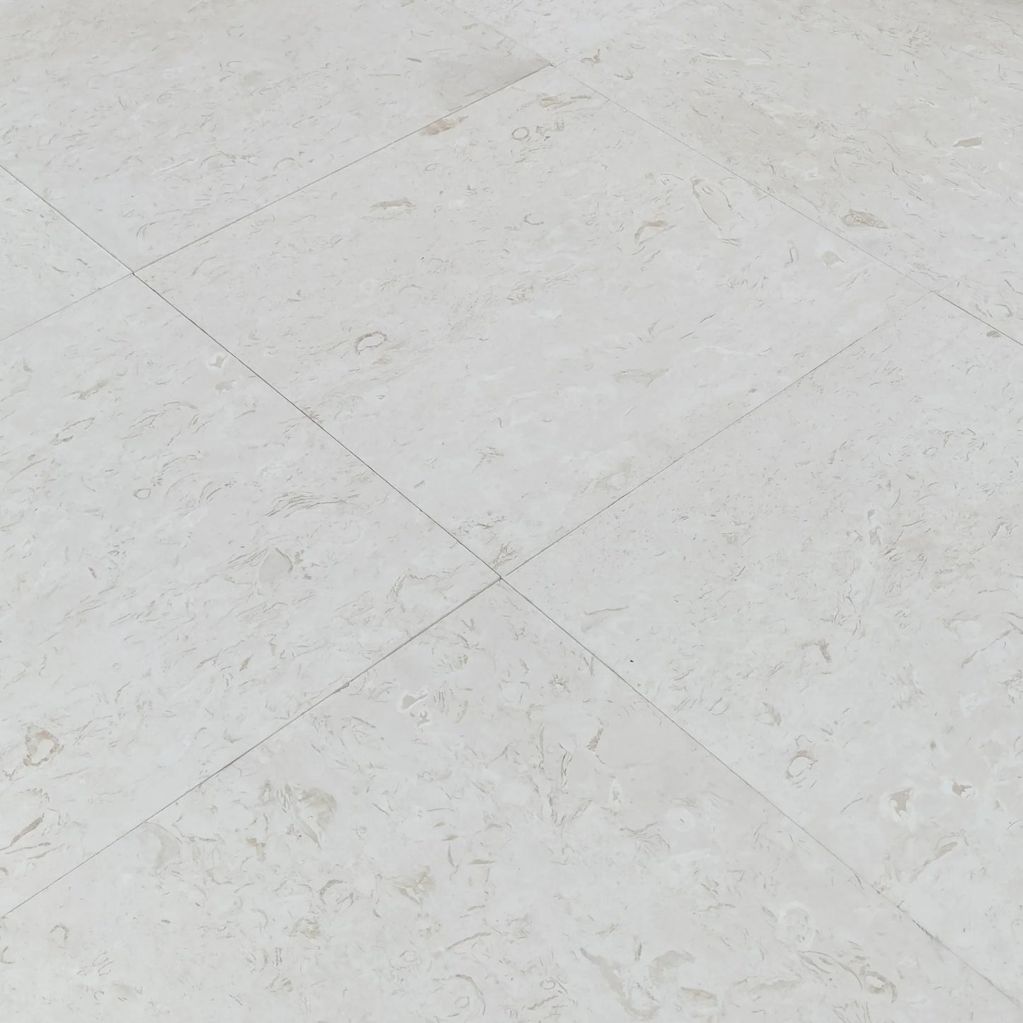 Shell Stone White Limestone Tiles Floor and Wall Tile