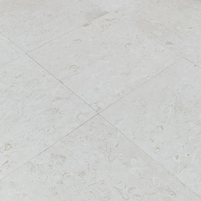 Shell Stone White Limestone Tiles Floor and Wall Tile