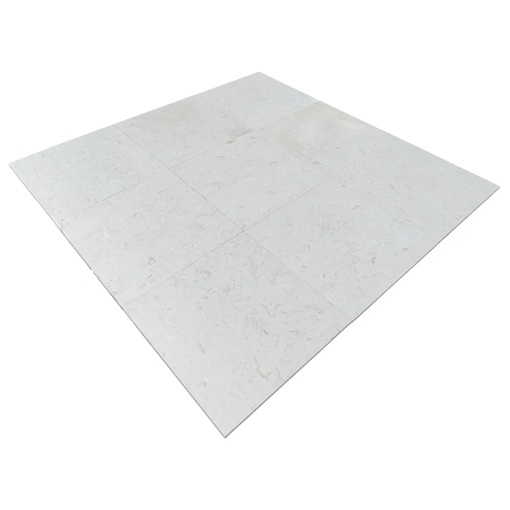 Shell Limestone Tile Shell Stone White Limestone Tiles Floor and Wall Tile – mayausatile