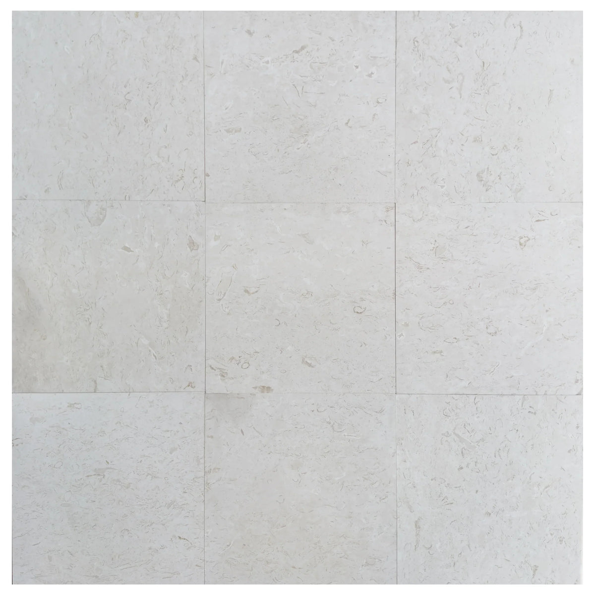 White Shell Limestone Shell Stone White Limestone Tiles Floor and Wall Tile – mayausatile