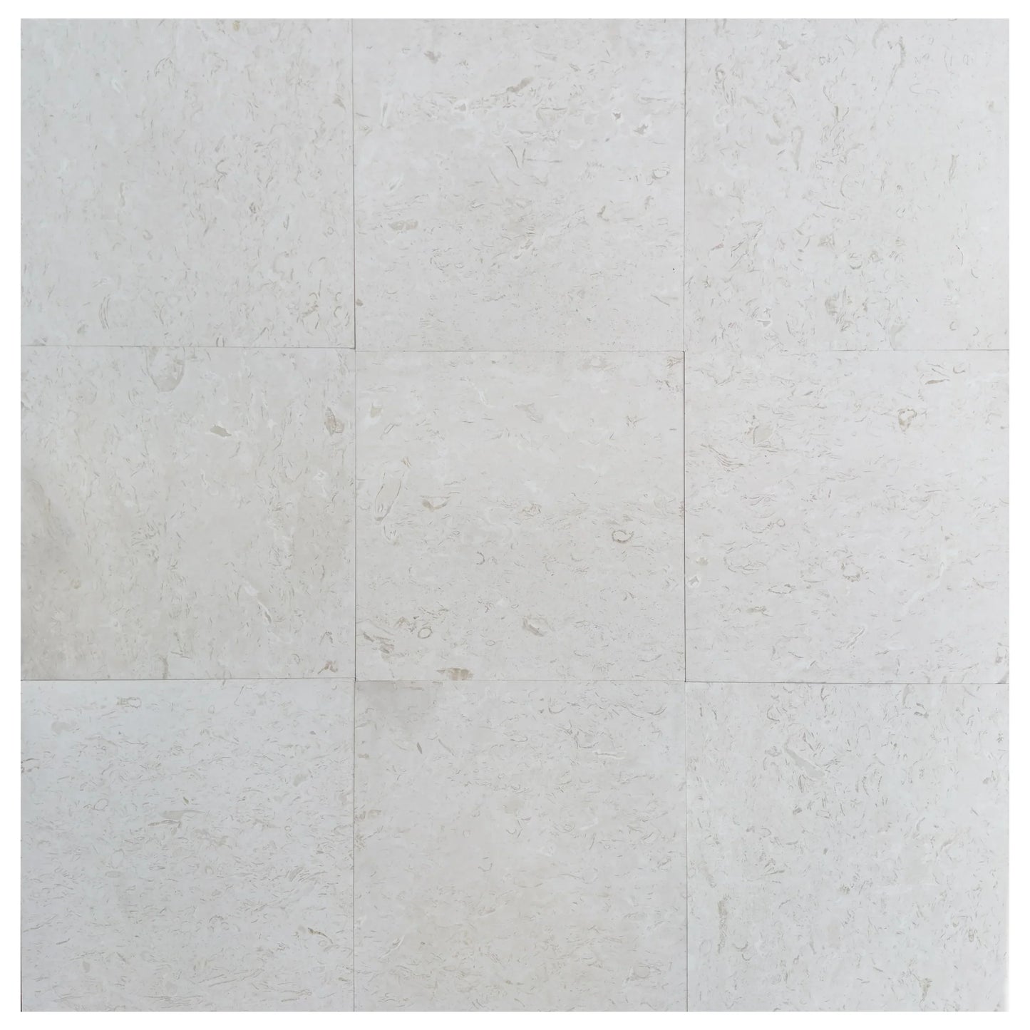 Shell Stone White Limestone Tiles Floor and Wall Tile