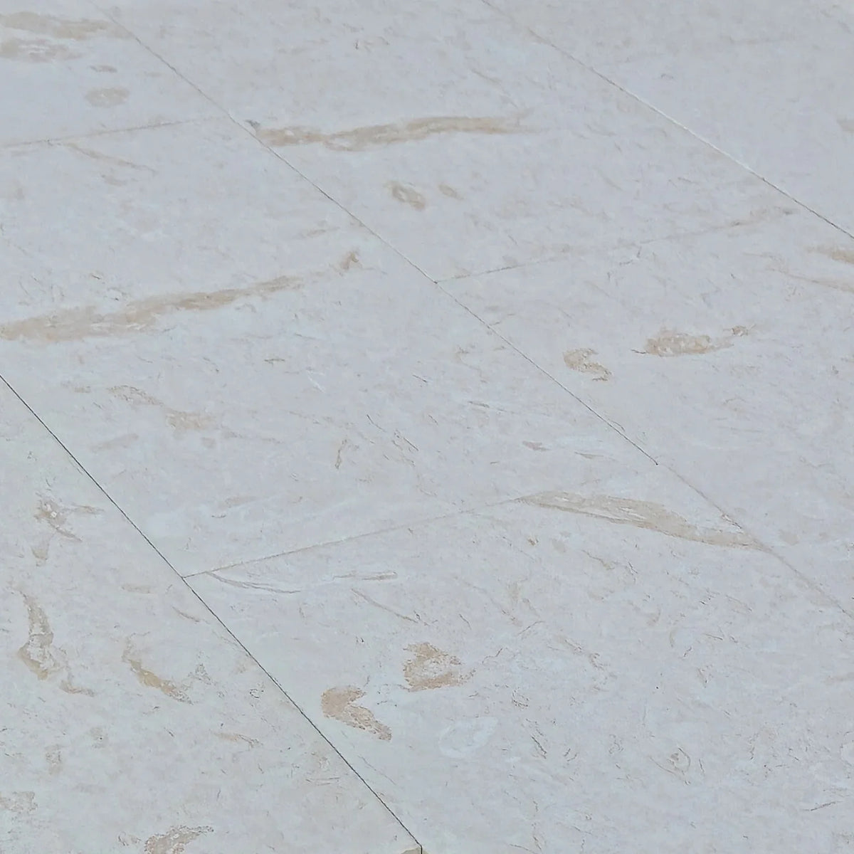 Tumbled Shellstone Shell Stone White Tumbled Pavers 18