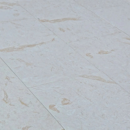 Shell Stone White Tumbled Limestone Pavers