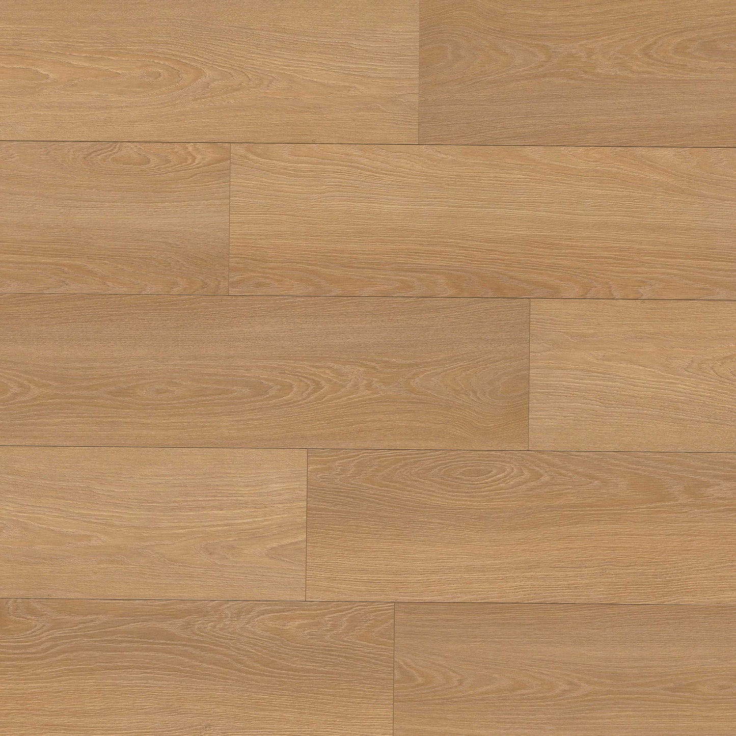MSI Shorecliffs™Wallingford Blonde Hybrid Rigid Core Flooring