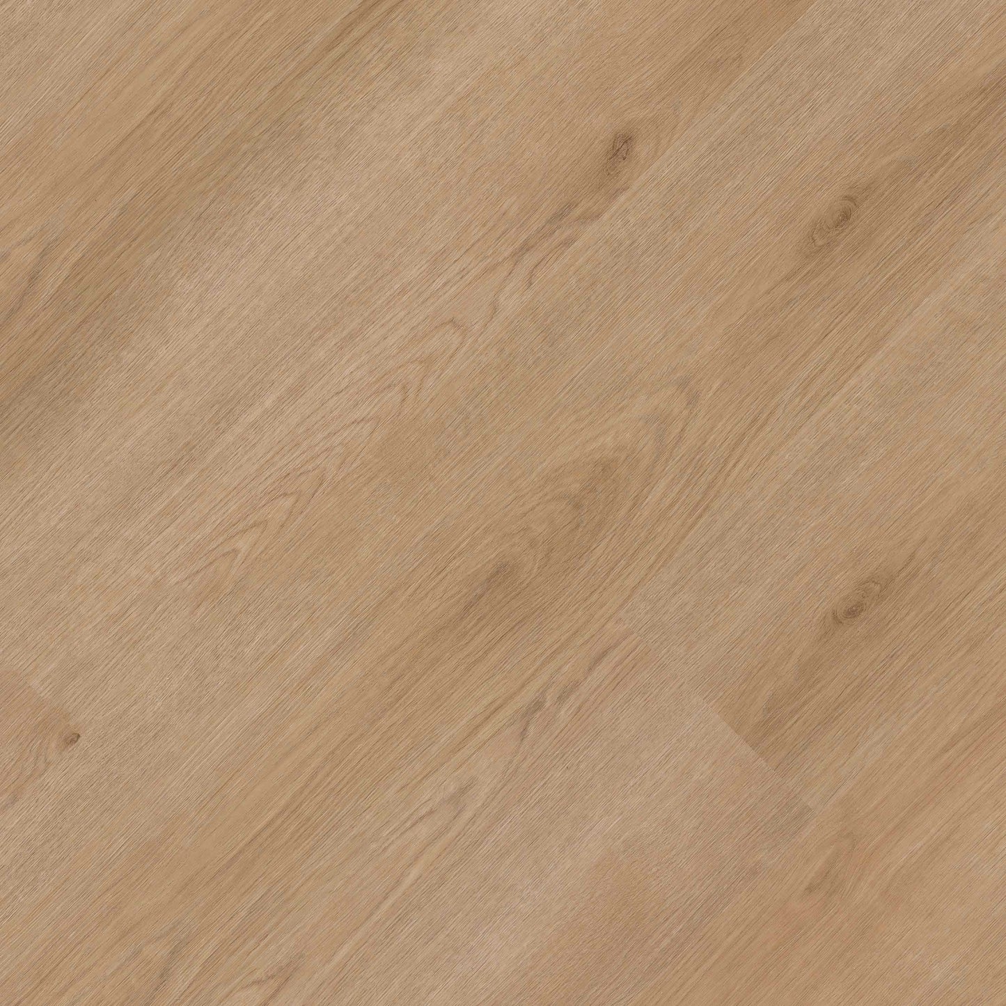 MSI Studio Bozeman Luxury Vinyl Planks