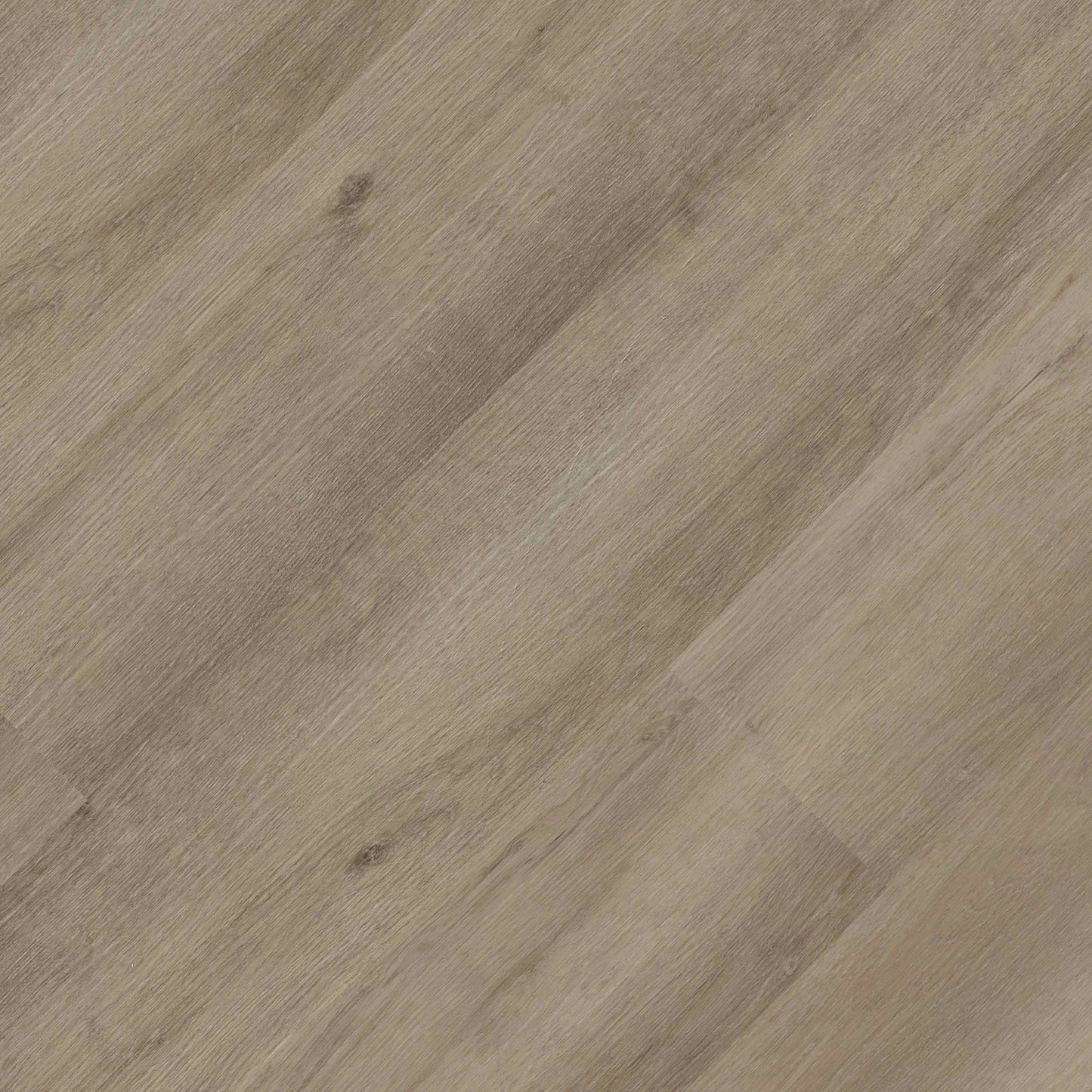 MSI Studio Lark Luxury Vinyl Planks