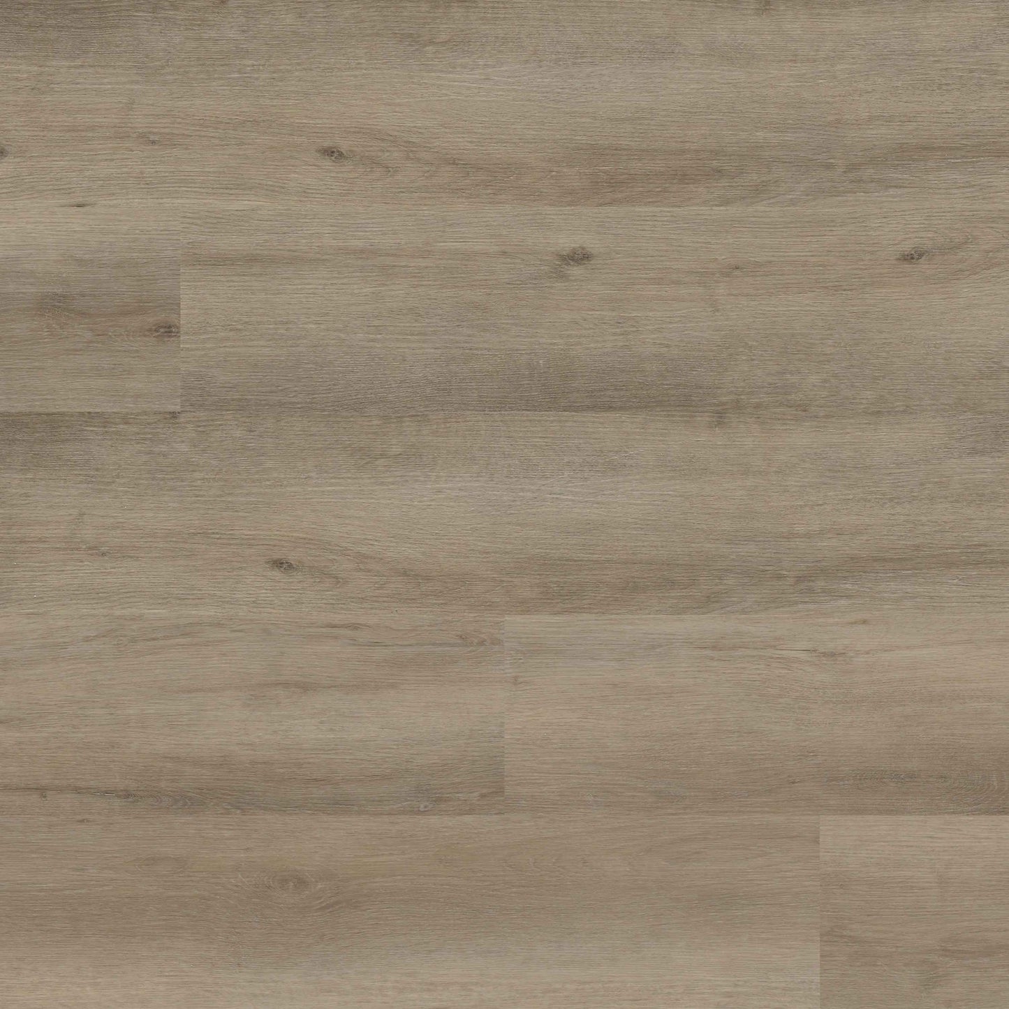 MSI Studio Lark Luxury Vinyl Planks