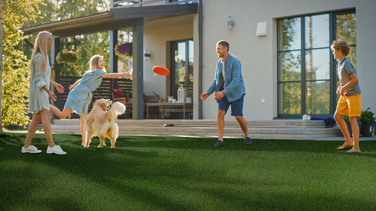 MSI Evergrass®MEADOW GREEN PET-TURF 91