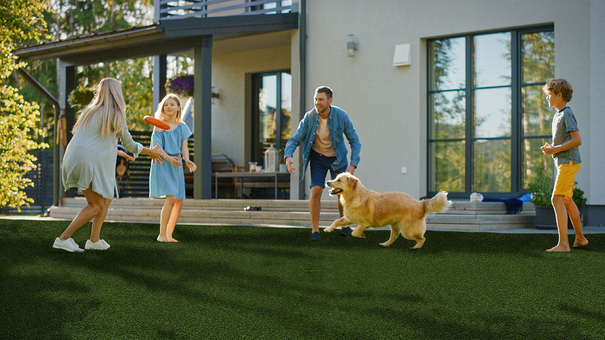 MSI Evergrass®MEADOW GREEN PET-TURF 91
