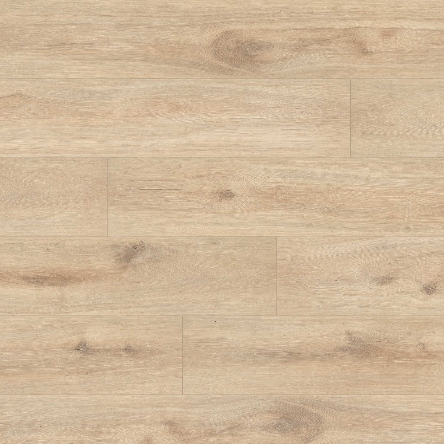 MSI Sunnyvale Hybrid Rigid Core Flooring