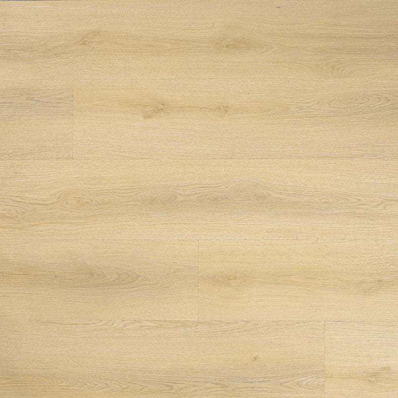 MSI Laurel™Tranquilla Luxury Vinyl Planks