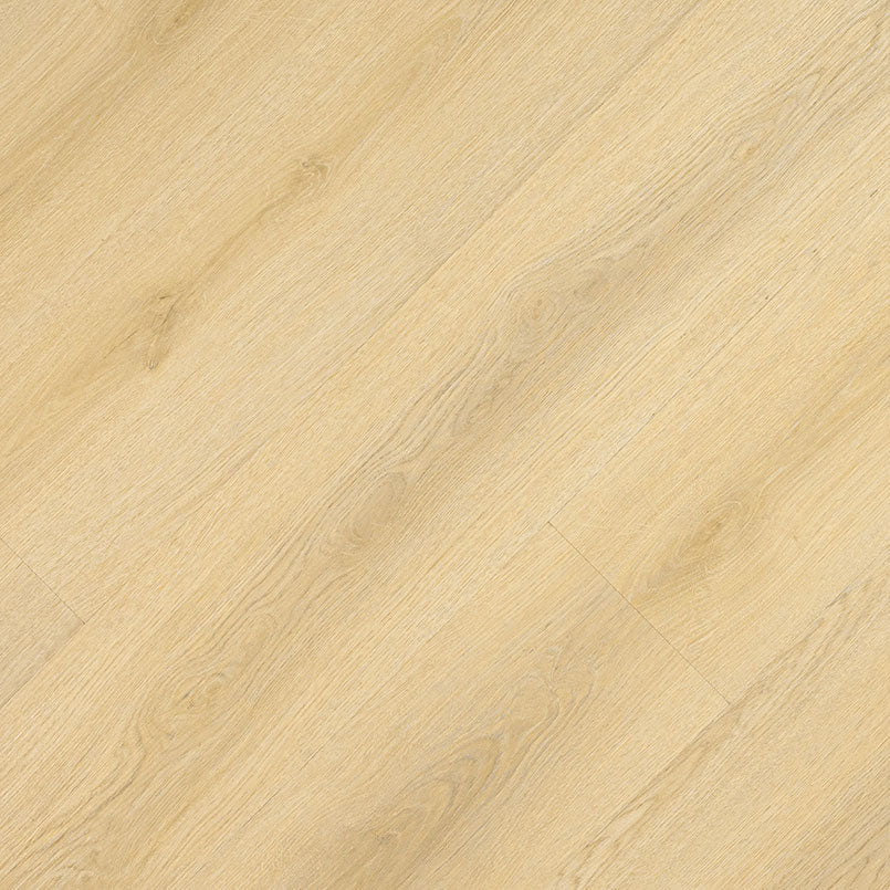 MSI Laurel™Tranquilla Luxury Vinyl Planks