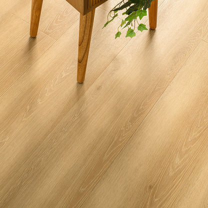 MSI Kallum Valleyview Grove Luxury Vinyl Planks
