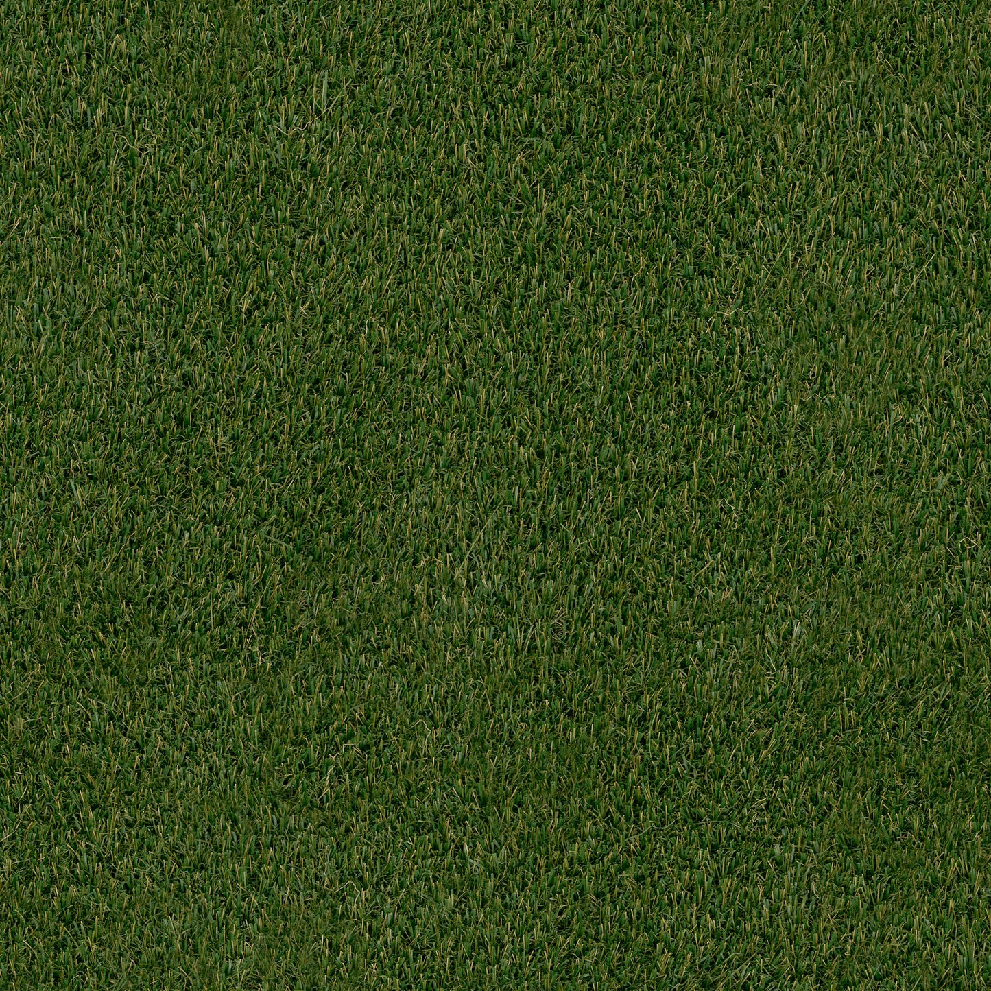 MSI Evergrass®Verdura Gold