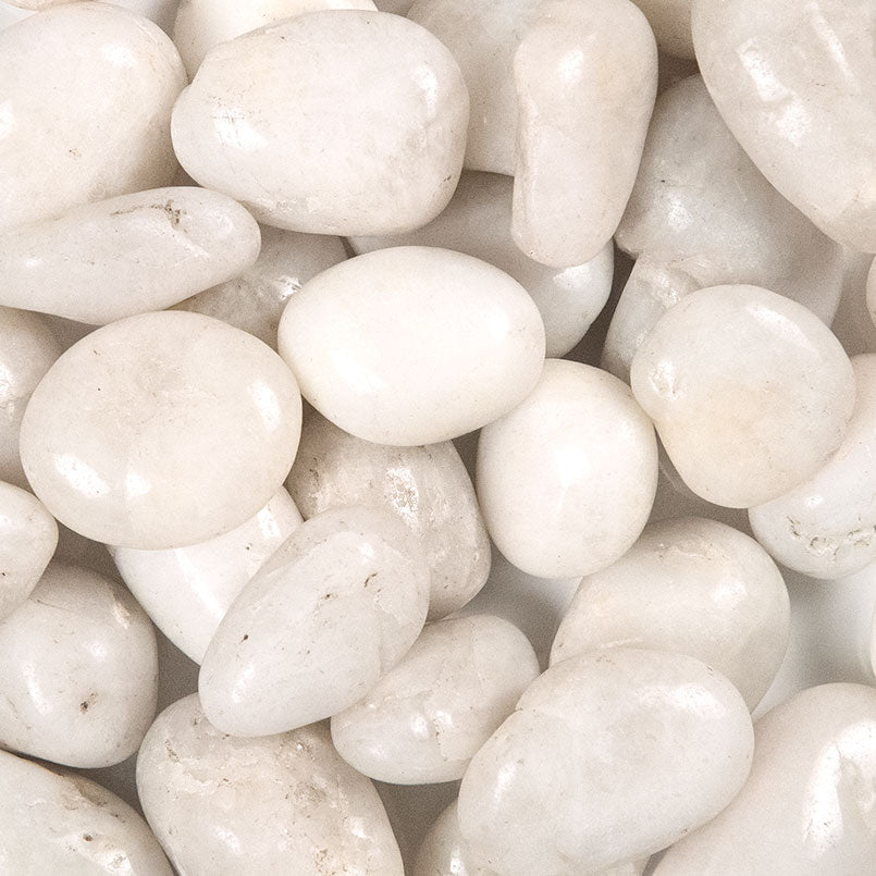 MSI Piedra White Polished Quartzite Pebble