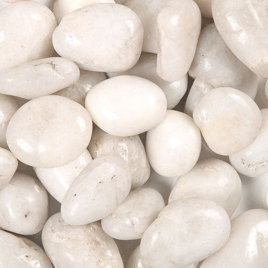 MSI Piedra White Polished Quartzite Pebble