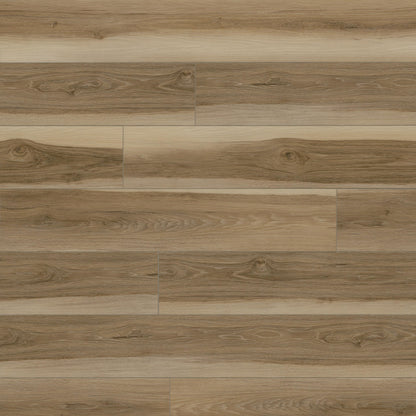 MSI Andover Wilton Luxury Vinyl Planks