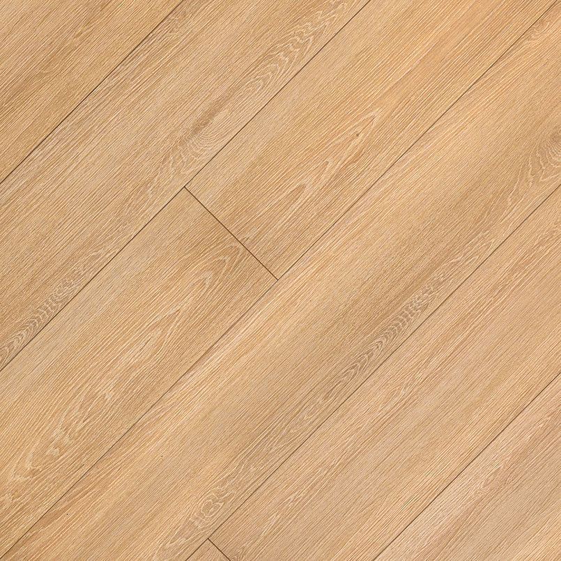 MSI XL Cyrus®Valleyview Grove Luxury Vinyl Planks