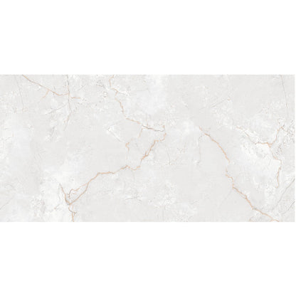 Anka Asel Glossy Rectified Porcelain Floor Tile