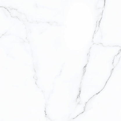 Calacatta Glossy Porcelain Wall and Floor Tile