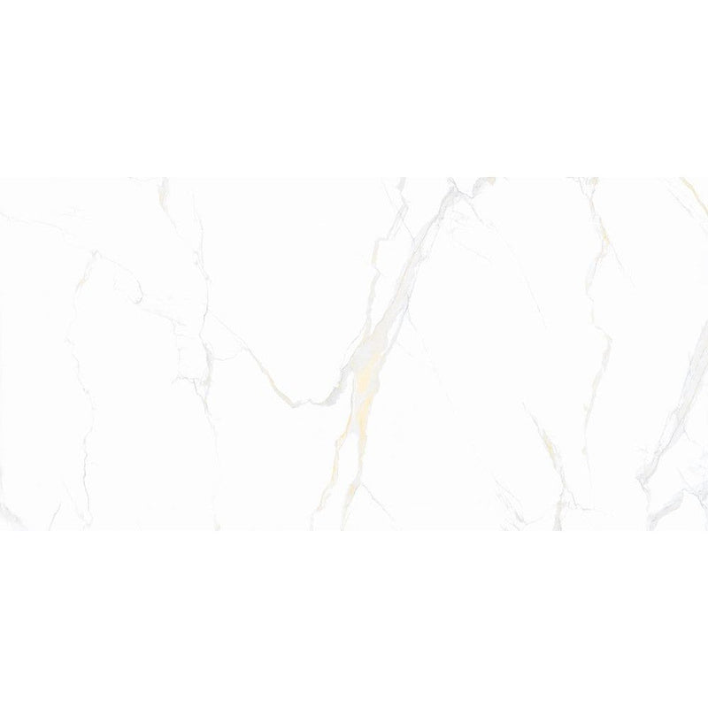 Anka classic carrara gold glossy rectified porcelain wall and floor tile size 24"x48" SKU-165314