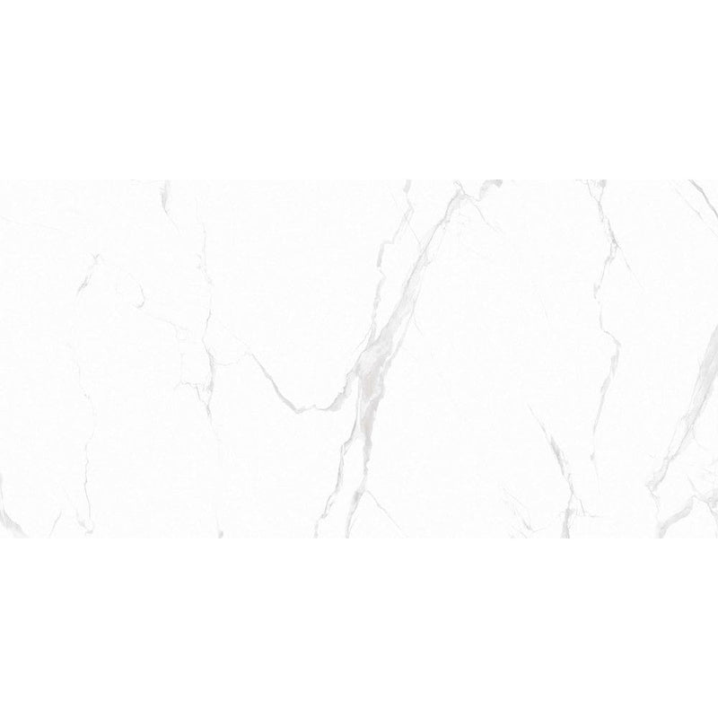 Anka classic carrara silver glossy rectified porcelain wall and floor tile size 24"x48" SKU-165313