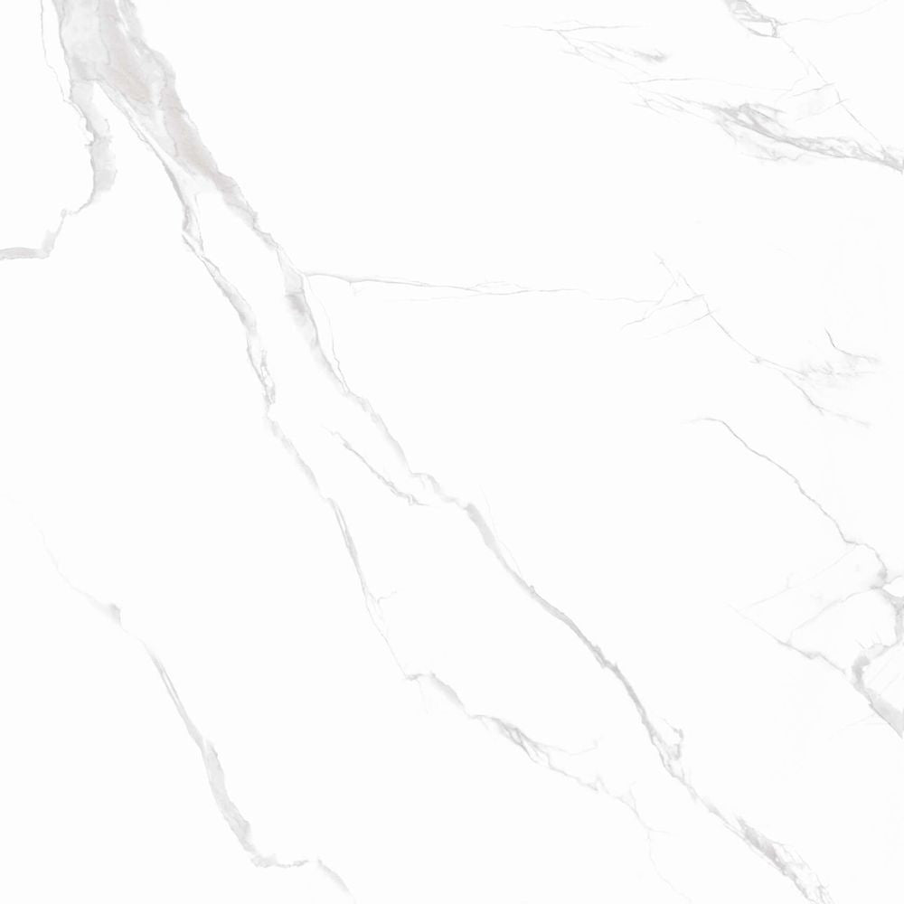 Anka classic carrara silver glossy rectified porcelain wall and floor tile size 24"x24" SKU-165266