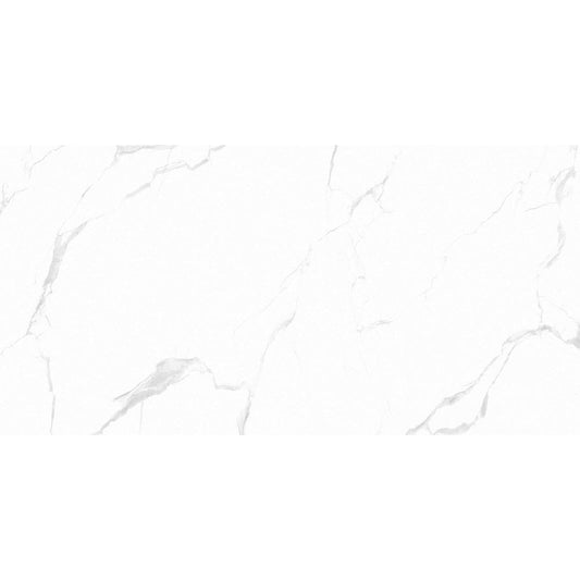 Anka classic carrara silver matte rectified porcelain wall and floor tile size 24"x48" SKU-165334 top view