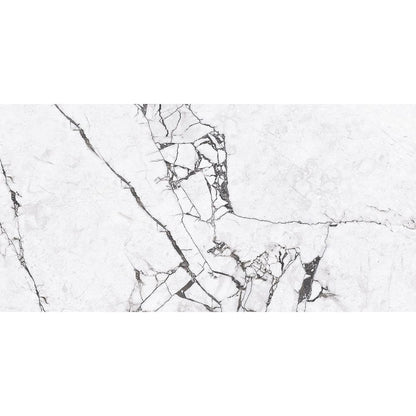 Anka Vira Glossy Rectified Porcelain Wall and Floor Tile